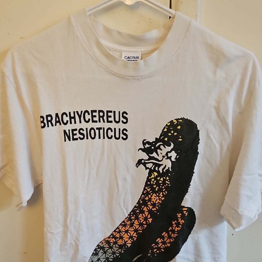 Galapagos Islands. CACTUS Graphic.